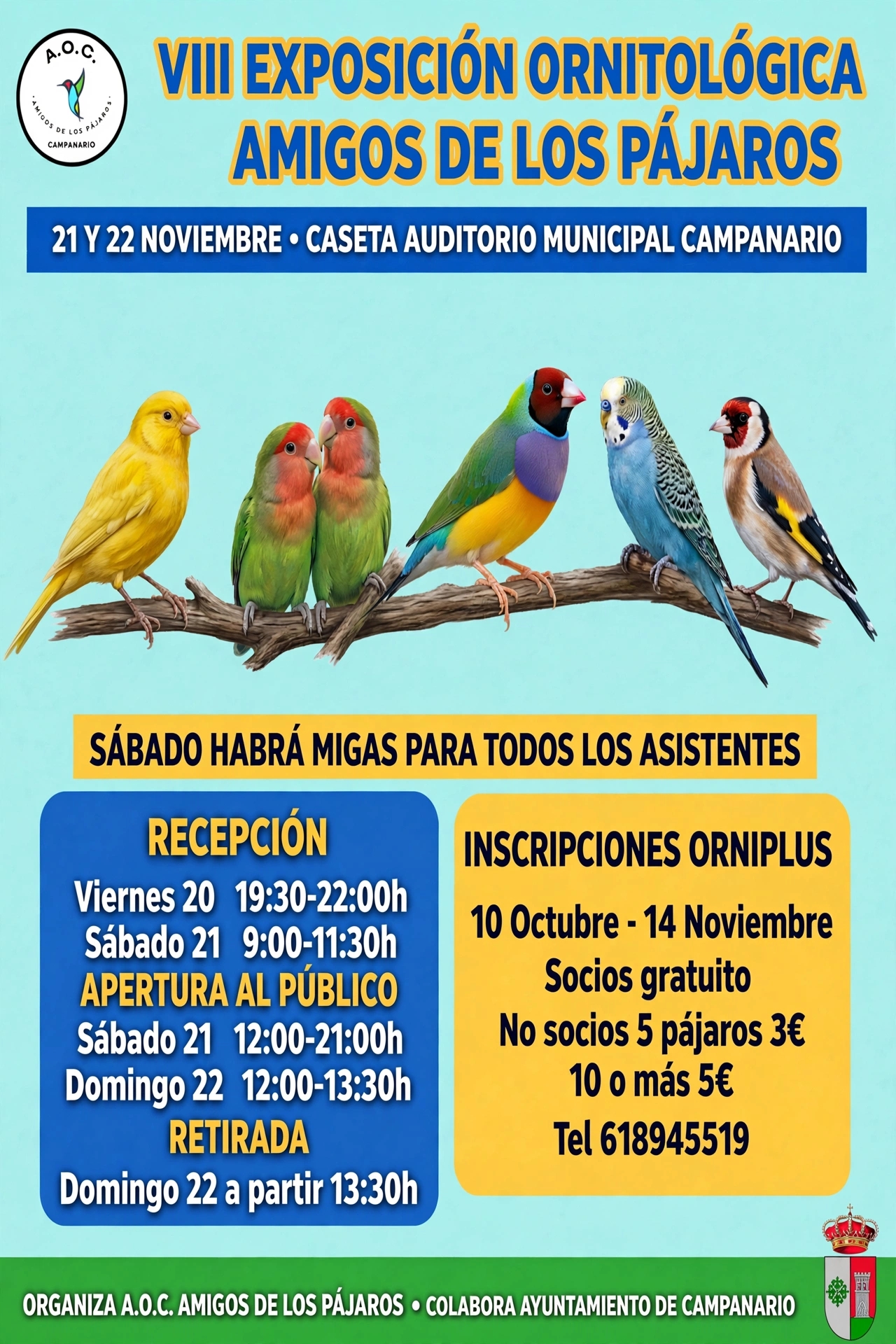 Cartel VIII EXPOSICION ORNITOLOGICA A.O.C.D. AMIGOS DE LOS PAJAROS 